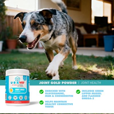 Image showing  Joint Gold Joint Care Powder for Dogs & Cats