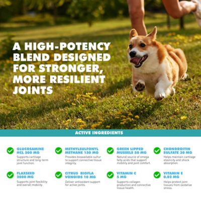 Image showing 6 th UbaVet Joint Gold Joint Care Powder for Dogs & Cats