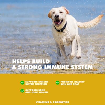 Image showing  MULTIVIT Daily Vitamin and Mineral Tablet for Dogs
