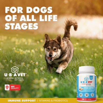 Image showing 5 th UbaVet MULTIVIT Daily Vitamin and Mineral Tablet for Dogs