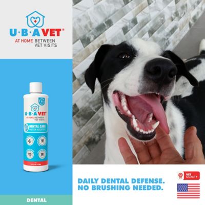 Image showing  Ubadent Dental Water Additive for Dogs & Cats