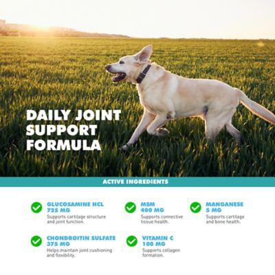 Image showing 6 th UbaVet UBASPORT Advanced Joint Care Tablets for Dogs, UVUS961