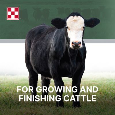 Image showing  Cattle Grower/Finisher 12