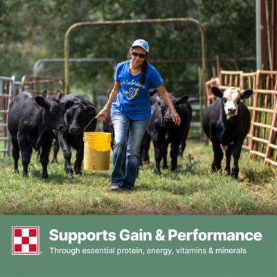 Image showing 5 th Purina Cattle Grower/Finisher 12