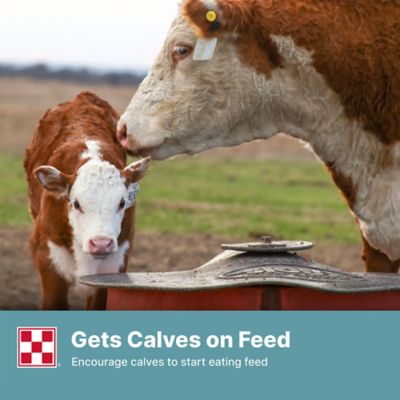 Image showing  Cattle Starter/Creep 14