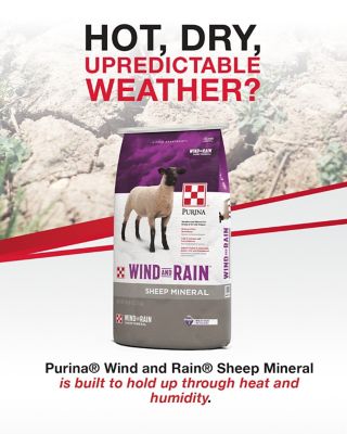 Image showing  Wind and Rain Sheep Mineral Feed