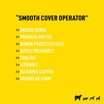 Image showing  Showboss FATfetti