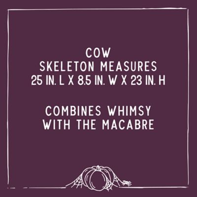 Image showing  Cow Skeleton