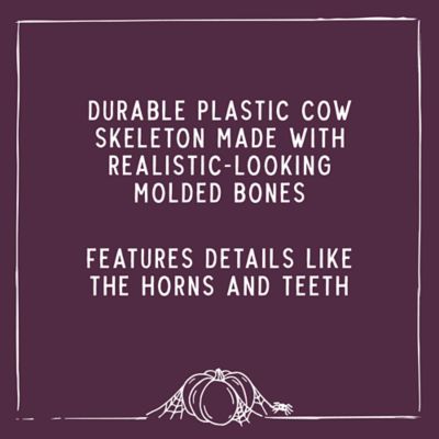 Image showing  Cow Skeleton