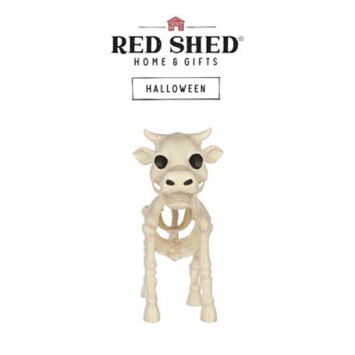 Image showing  Cow Skeleton