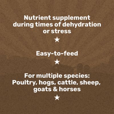 Image showing  Livestock Vitamin/Electrolyte Packet, 8 oz.