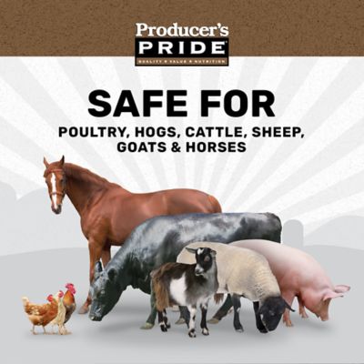 Image showing  Livestock Vitamin/Electrolyte Packet, 8 oz.