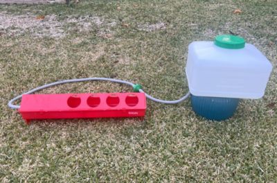 Image showing  Automatic Waterer Kit for Chickens