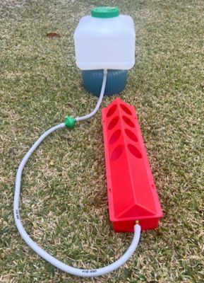 Image showing  Automatic Waterer Kit for Chickens