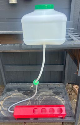 Image showing 6 th Zylina Automatic Waterer Kit for Chickens