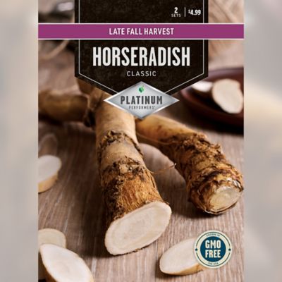 DeGroot Horseradish Set
