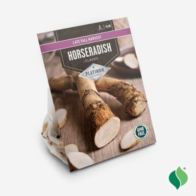 Image showing  Horseradish Set