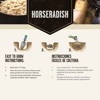 Image showing  Horseradish Set