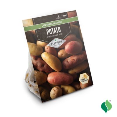 Image showing  Potato Fingerling Mix