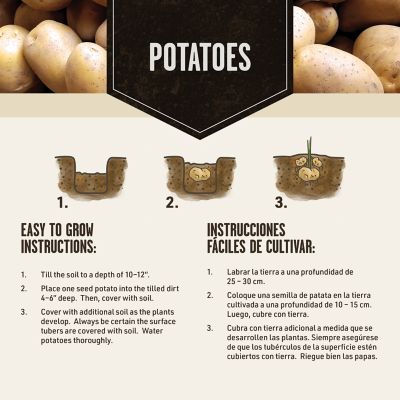 Image showing  Potato Fingerling Mix