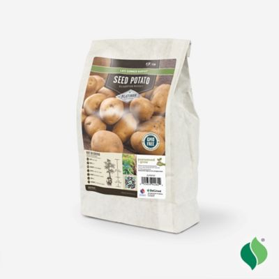 Image showing  Potato Silverton Russet 4 lbs.