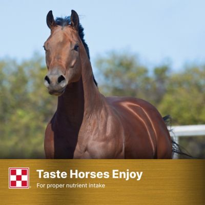 Image showing 7 th Purina Ultium Senior Horse Feed