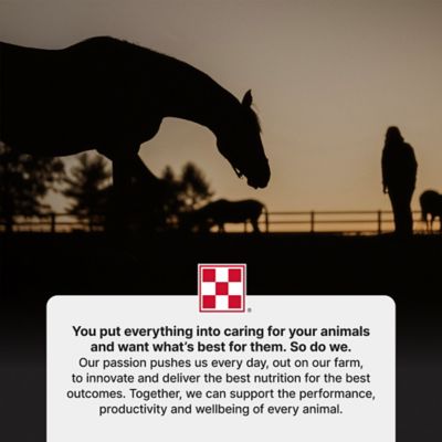 Image showing 8 th Purina Ultium Senior Horse Feed