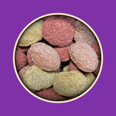 Image showing  Neigh Nibblers Crunchy Apple and Oat Horse Treats, 15 lb. Bag