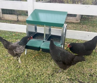 Image showing  Nesting Box With Legs - 2 Bays