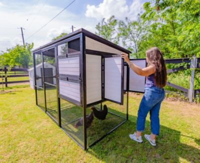 Image showing  Large Modern Ultraguard Metal Framed Chicken Coop, 12 Chicken Capacity