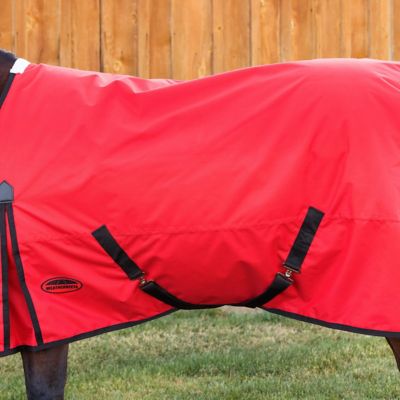 Image showing  ComFiTec Original Standard Neck Horse Blanket, 0g Lite Weight