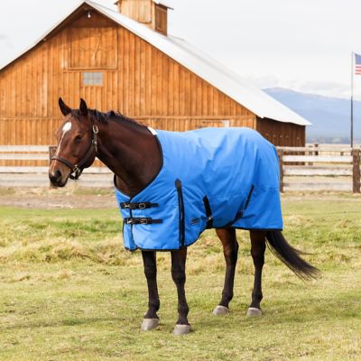 WeatherBeeta ComFiTec Original Standard Neck Horse Blanket, 0g Lite Weight