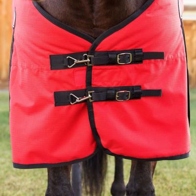 Image showing  ComFiTec Original Standard Neck Horse Blanket, 200g Medium Weight
