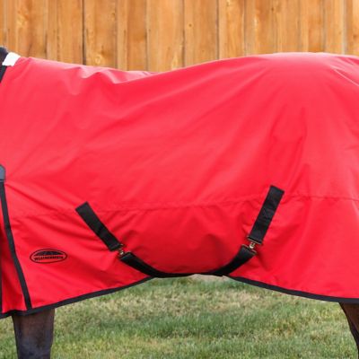 Image showing  ComFiTec Original Standard Neck Horse Blanket, 200g Medium Weight
