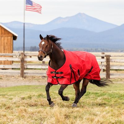 WeatherBeeta ComFiTec Original Standard Neck Horse Blanket, 200g Medium Weight