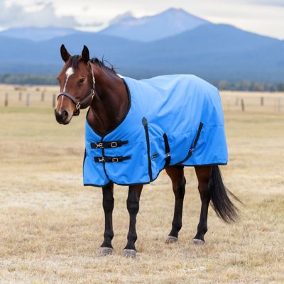 WeatherBeeta ComFiTec Original Standard Neck Horse Blanket, 200g Medium Weight