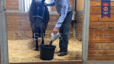 Image showing  Diamond Perform Horse Feed