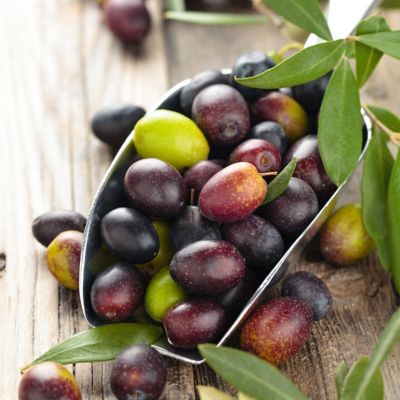 Image showing  3 gal. Olive Tree