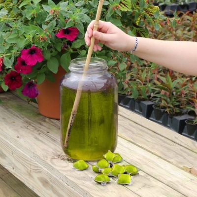 Image showing  Plant with Purpose Flower Booster Water Soluable Fertilizer - 10 pods