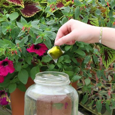 Image showing 6 th National Plant Network Plant with Purpose Flower Booster Water Soluable Fertilizer - 10 pods