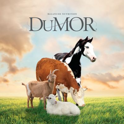 Image showing  General Purpose Livestock Protein Tub, 125 lb.