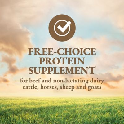 Image showing  General Purpose Livestock Protein Tub, 125 lb.