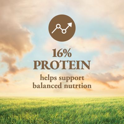 Image showing  General Purpose Livestock Protein Tub, 125 lb.