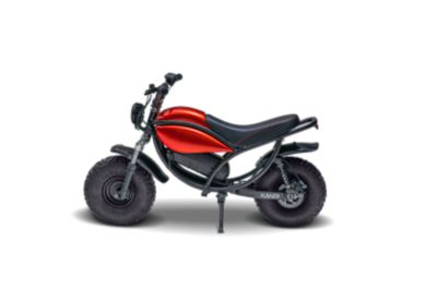 Image showing  Trail King e500 Electric Mini Bike