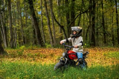 Image showing 7 th Kandi Trail King e500 Electric Mini Bike
