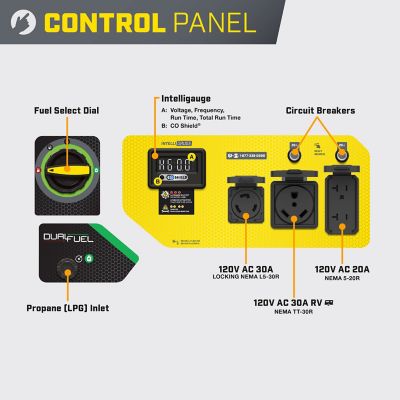 Image showing  4550-Watt Dual Fuel RV Ready Portable Generator with CO Shield