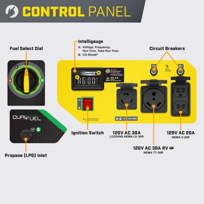 Image showing  4550-Watt Electric Start Dual Fuel RV Ready Portable Generator with CO Shield
