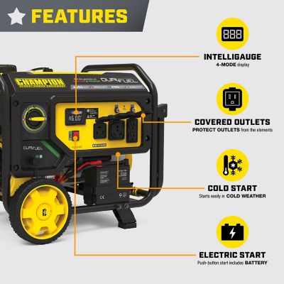 Image showing  4550-Watt Electric Start Dual Fuel RV Ready Portable Generator with CO Shield
