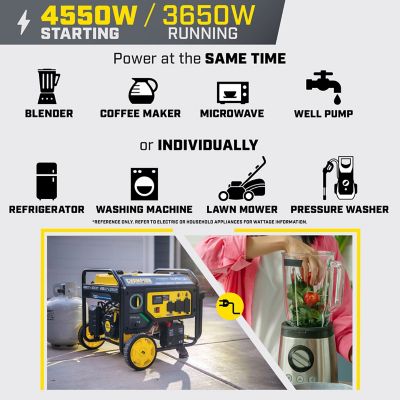 Image showing  4550-Watt Electric Start Dual Fuel RV Ready Portable Generator with CO Shield