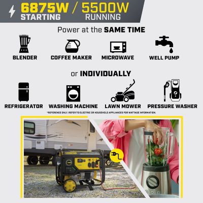 Image showing  6875-Watt Dual Fuel Portable Generator with CO Shield